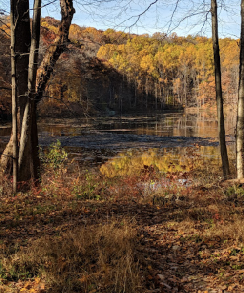 A serene autumn landscape featuring a calm lake surrounded by trees with vibrant fall foliage.