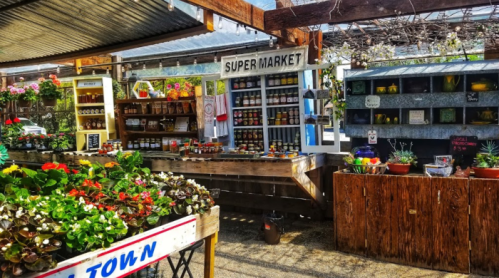 A vibrant market scene with flowers, jars of preserves, and various plants displayed on wooden tables.