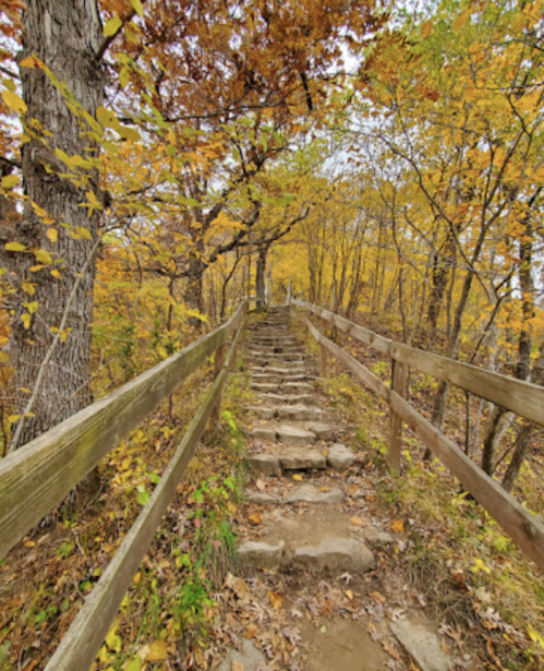 A stone staircase leads through a forest of vibrant autumn leaves and wooden railings.