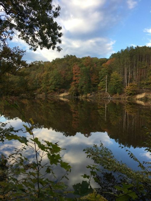 A serene lake reflects colorful autumn trees and a cloudy sky, surrounded by lush greenery.