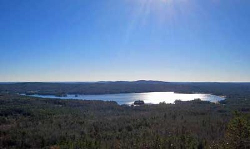 A serene landscape featuring a sparkling lake surrounded by lush greenery under a clear blue sky.