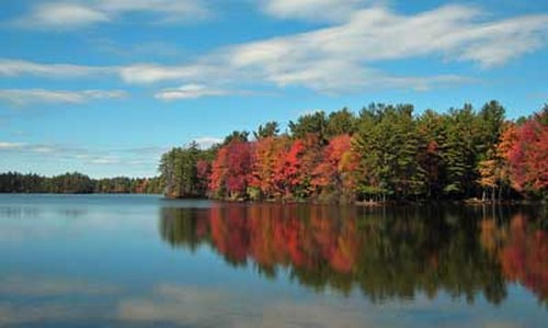 A serene lake surrounded by trees displaying vibrant autumn colors under a clear blue sky.