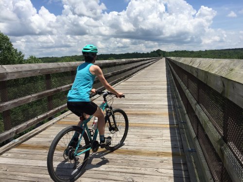 A person in a teal helmet rides a bike on a wooden bridge surrounded by greenery and clouds.