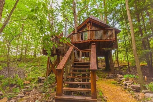 A wooden treehouse with a staircase, surrounded by lush green trees and a forested path.