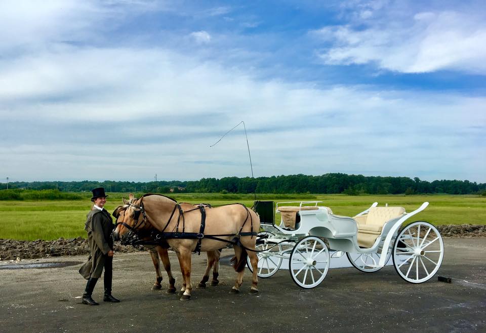 Take A Carriage Ride For A Truly Unique Connecticut Experience