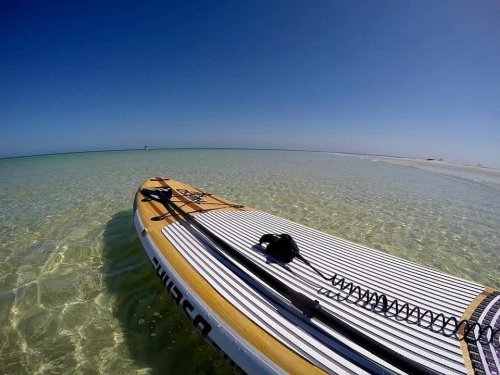 A paddleboard floats on clear water under a bright blue sky, with a sandy shore in the background.