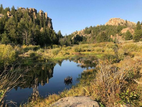 A serene landscape featuring a calm pond surrounded by lush greenery and rocky hills under a clear blue sky.