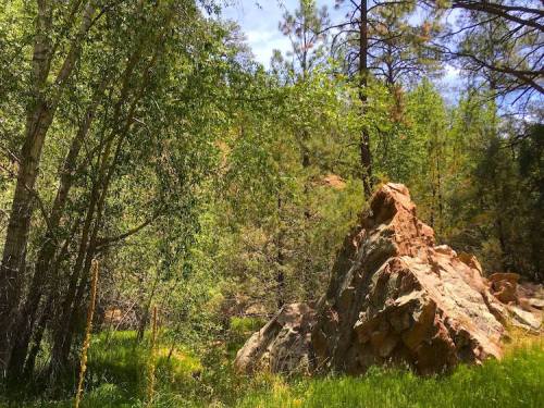 A large rock surrounded by lush greenery and trees under a bright blue sky.