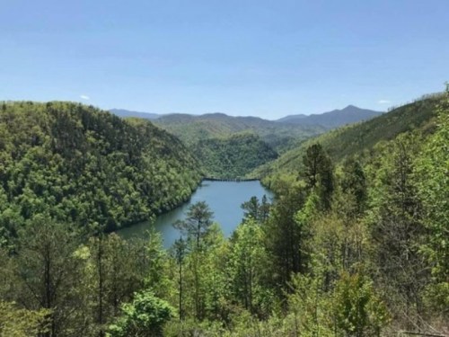 A serene view of a river winding through lush green mountains under a clear blue sky.