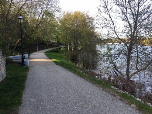 A peaceful riverside path lined with trees, leading along the water's edge on a sunny day.