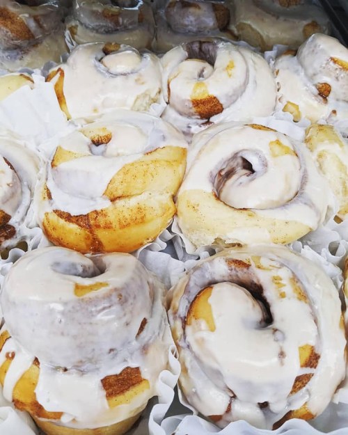 Freshly baked cinnamon rolls topped with creamy icing, arranged in a display with white paper liners.