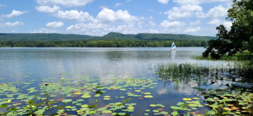 A serene lake scene with lily pads, green hills in the background, and a sailboat gliding across the water under a blue sky.