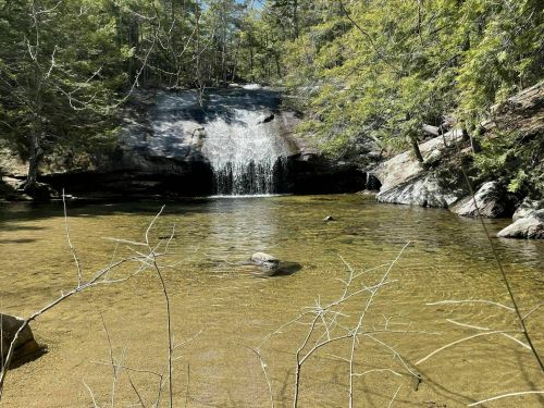A serene waterfall cascades into a clear pool, surrounded by lush greenery and rocky terrain.