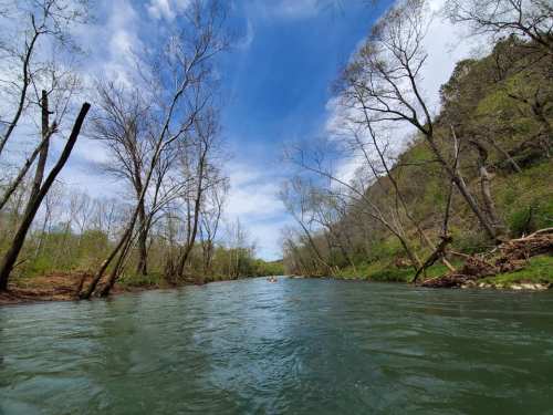 A serene river flows through a lush landscape, flanked by trees and a clear blue sky.