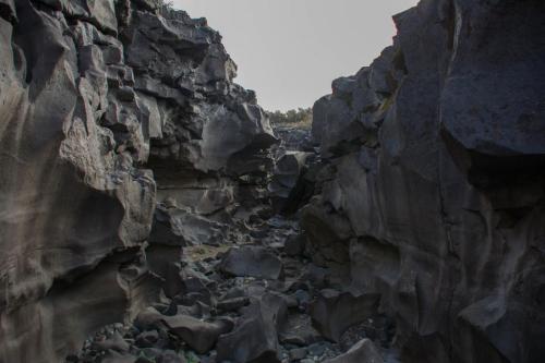 A narrow canyon with rugged, dark rock formations and a rocky floor, illuminated by soft natural light.