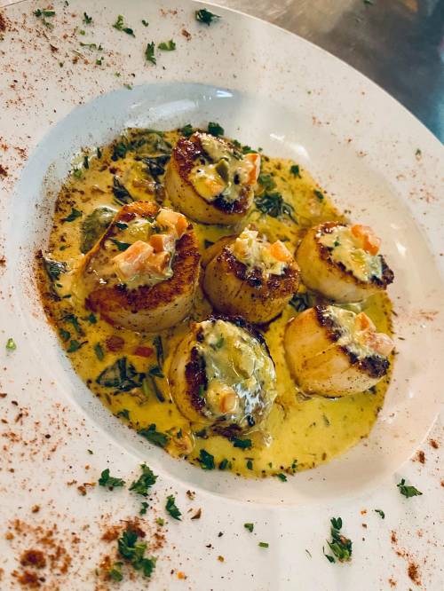 A plate of seared scallops in a creamy sauce, garnished with herbs and spices.