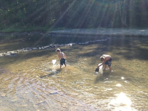 Two boys wade in a shallow stream, one using a net, with sunlight streaming through the trees above.