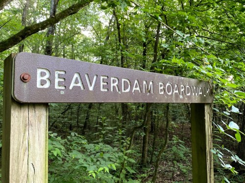 Sign for Beaverdam Boardwalk surrounded by lush green foliage in a wooded area.