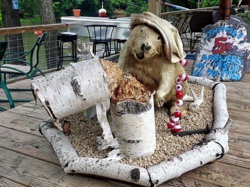 A beaver wearing a hat sits beside a log in a rustic outdoor setting with chairs and a sign in the background.
