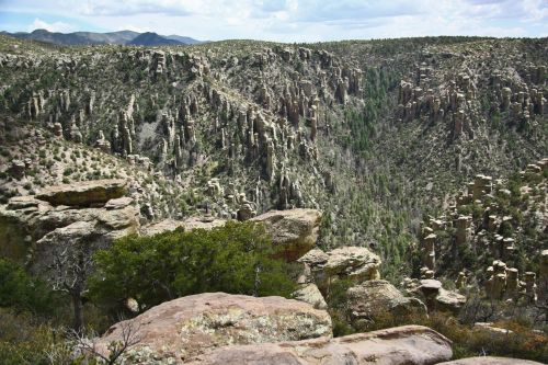 A panoramic view of a rugged canyon with towering rock formations and sparse vegetation under a cloudy sky.