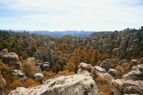 A panoramic view of rocky formations and trees in autumn hues, set against a mountainous backdrop under a cloudy sky.