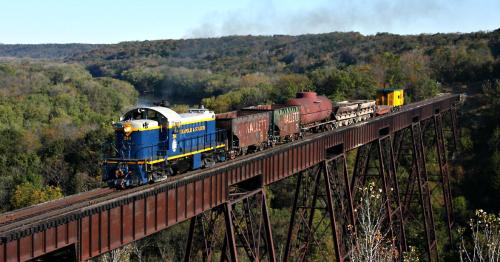 A blue and yellow train crosses a tall bridge over a lush green valley, with several freight cars in tow.