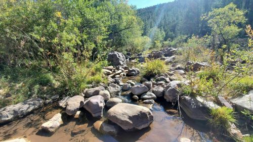 A serene stream flows through a rocky landscape, surrounded by lush greenery and sunlight filtering through trees.