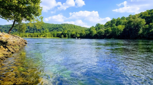 A serene river scene with clear water, lush green trees, and a blue sky dotted with fluffy clouds.