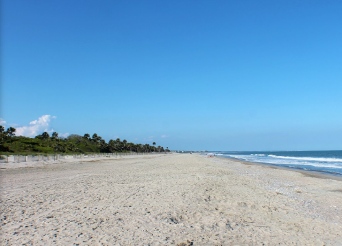 A wide, sandy beach stretches under a clear blue sky, with gentle waves lapping at the shore and palm trees in the distance.