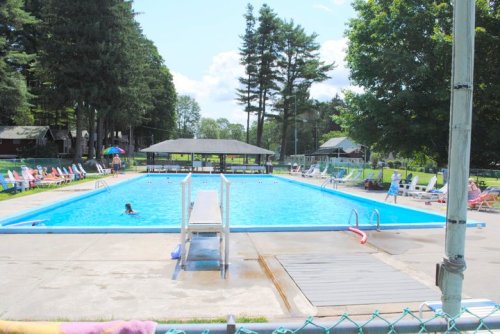 A sunny outdoor swimming pool surrounded by lounge chairs and trees, with a diving board at one end.