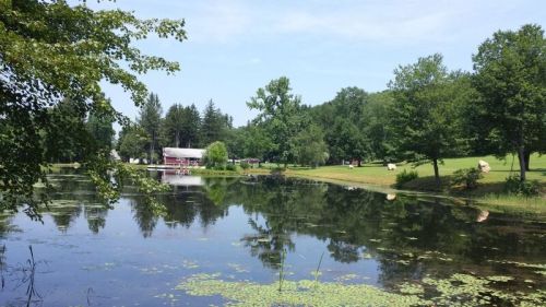 A serene landscape featuring a calm pond, lush greenery, and a red barn in the background under a clear blue sky.