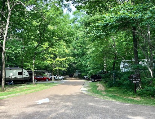 A tree-lined campground road with parked RVs and cars, leading to a sign indicating one-way traffic.