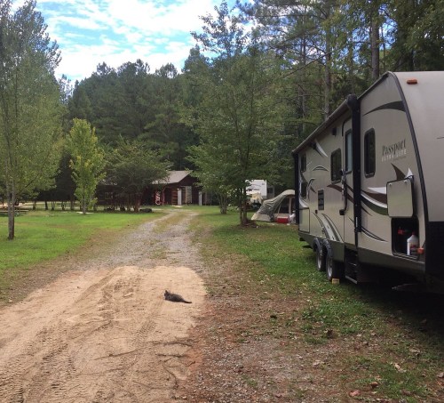 A gravel path leads through a campsite with RVs and tents, surrounded by trees and a clear blue sky.