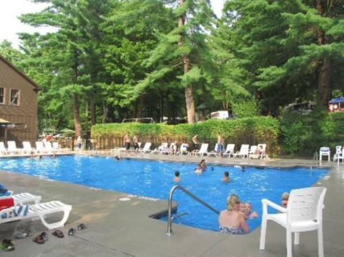 A sunny pool area surrounded by trees, with people swimming and lounging on chairs.