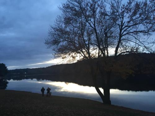 Two people walk along a lakeshore at dusk, with a tree silhouetted against a cloudy sky and calm water.