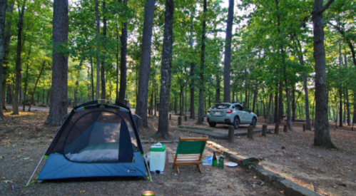A campsite with a tent, a chair, and a car parked among tall trees in a wooded area.