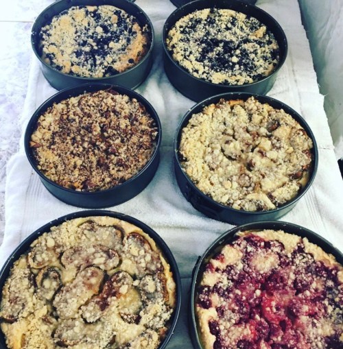 Six round baking pans filled with various fruit crumbles, each with a golden, crumbly topping, arranged on a white cloth.