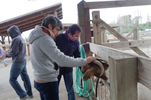 Two men interact with a goat at a farm, one gently petting the animal while the other observes.