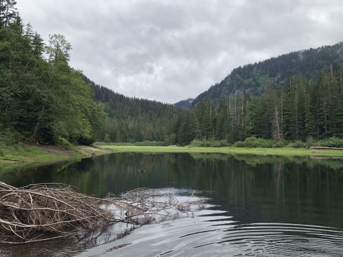A serene lake surrounded by lush green trees and mountains under a cloudy sky. Ripples in the water reflect the landscape.
