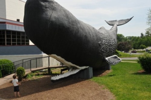 A child stands near a large, black whale sculpture on a grassy area outside a building.