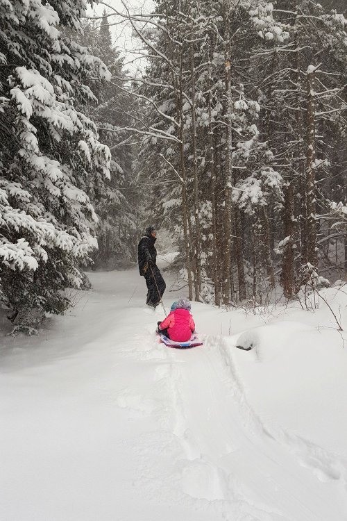 A child in a pink coat sits on a sled in deep snow, while an adult stands nearby among snowy trees.