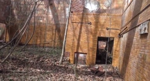 Abandoned building interior with yellow brick walls, broken windows, and overgrown vegetation on the floor.