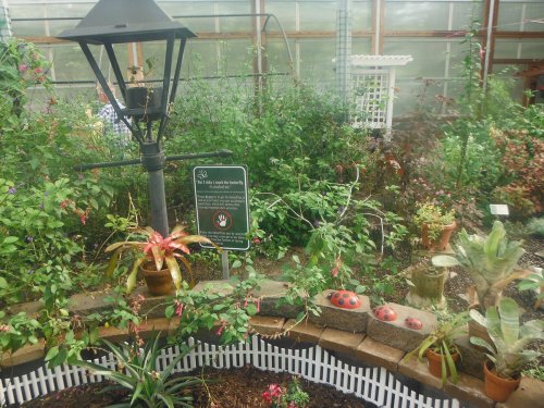 A greenhouse with various plants, a lamp post, and decorative ladybug stones in a garden setting.