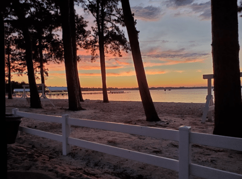 A serene beach scene at sunset, with trees framing the view and colorful skies reflecting on the water.