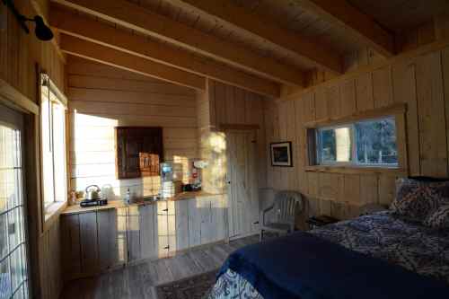 Cozy wooden cabin interior with a bed, kitchenette, and large windows letting in natural light.