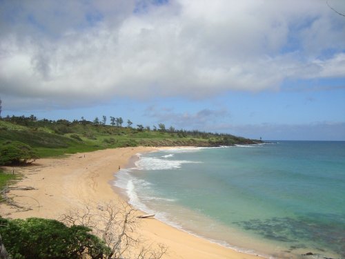 A serene beach with golden sand, gentle waves, and lush greenery under a partly cloudy sky.