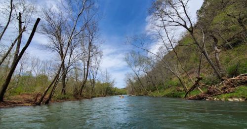 A serene river flows through a lush landscape, flanked by bare trees and green foliage under a blue sky.