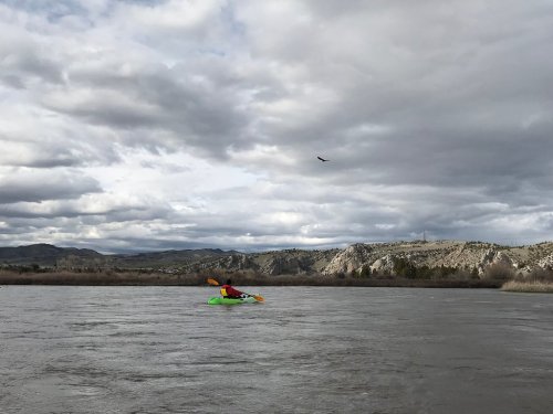 A person kayaking on a river with mountains and cloudy skies in the background, an eagle soaring above.