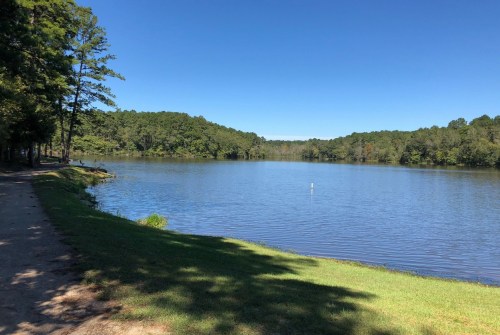 A serene lake surrounded by trees under a clear blue sky, with a walking path along the water's edge.
