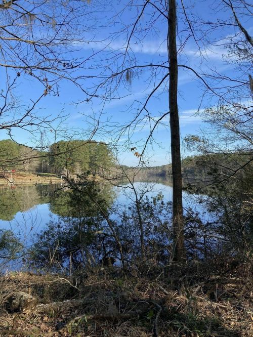 A serene lake surrounded by trees, reflecting the blue sky and distant hills on a calm day.